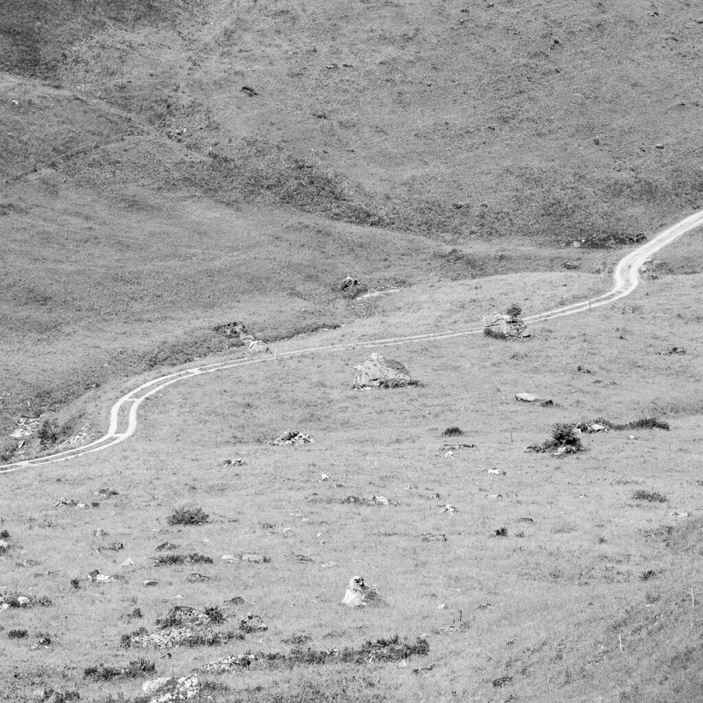 winding road in alpine landscape