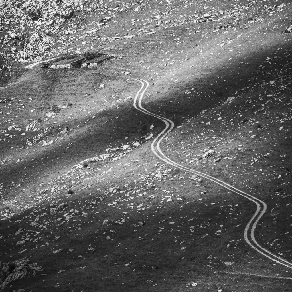 winding road in alpine landscape