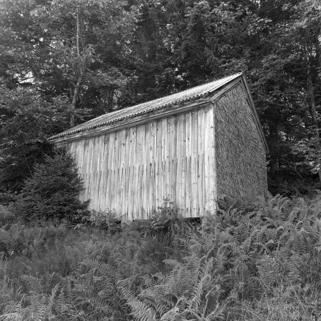 Landscape image of a Shed on in the woods